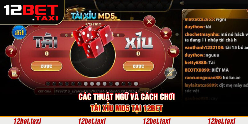 Các thuật ngữ và cách chơi tài xỉu MD5 tại 12BET Các thuật ngữ và cách chơi tài xỉu MD5 tại 12BET
