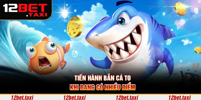 Tiến hành bắn cá to khi đang có nhiều điểm Tiến hành bắn cá to khi đang có nhiều điểm